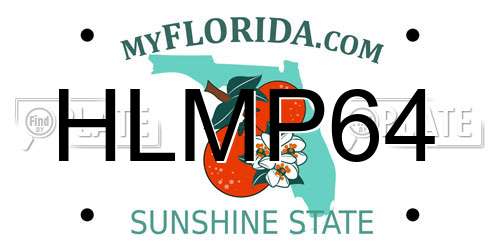 HLMP64 Florida License Plate