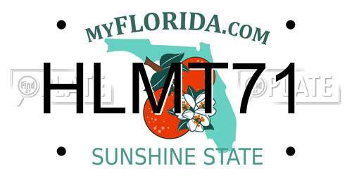HLMT71 Florida License Plate