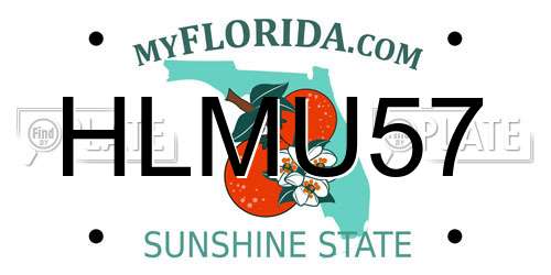 HLMU57 Florida License Plate