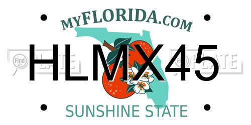 HLMX45 Florida License Plate