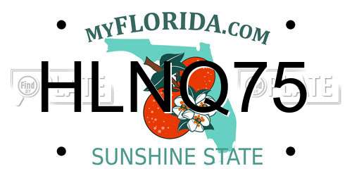 HLNQ75 Florida License Plate