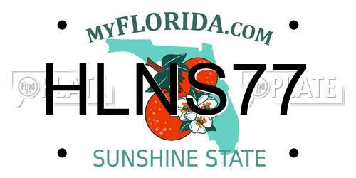 HLNS77 Florida License Plate