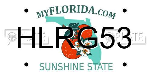 HLRG53 Florida License Plate