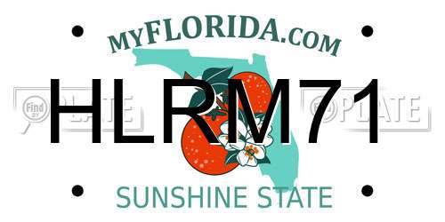HLRM71 Florida License Plate