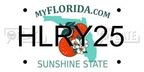 HLRY25 Florida License Plate