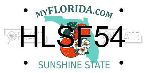 HLSF54 Florida License Plate