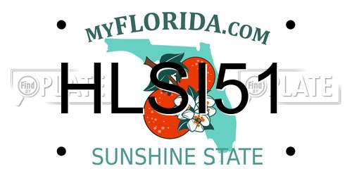 HLSI51 Florida License Plate