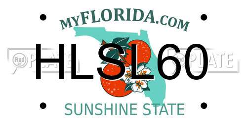 HLSL60 Florida License Plate