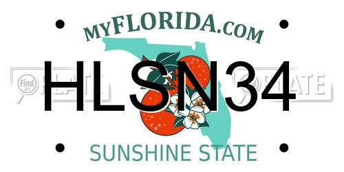 HLSN34 Florida License Plate