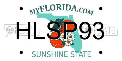 HLSP93 Florida License Plate