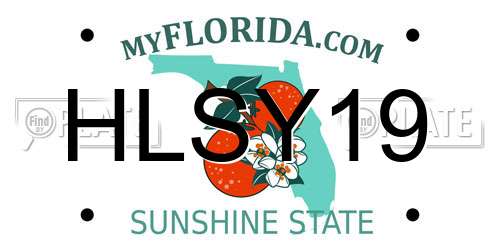 HLSY19 Florida License Plate