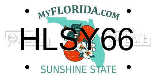HLSY66 Florida License Plate