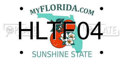 HLTF04 Florida License Plate