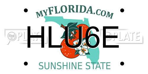 HLU6E Florida License Plate