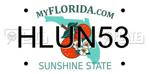HLUN53 Florida License Plate