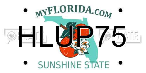 HLUP75 Florida License Plate