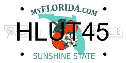 HLUT45 Florida License Plate