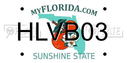 HLVB03 Florida License Plate