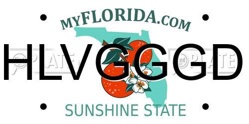 HLVGGGD Florida License Plate