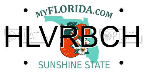 HLVRBCH Florida License Plate