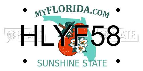 HLYF58 Florida License Plate