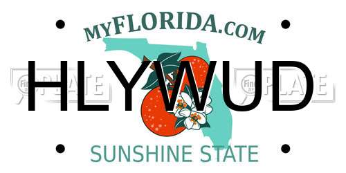HLYWUD Florida License Plate