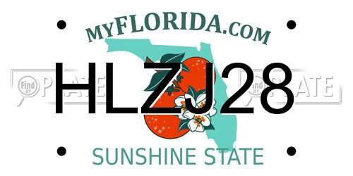 HLZJ28 Florida License Plate