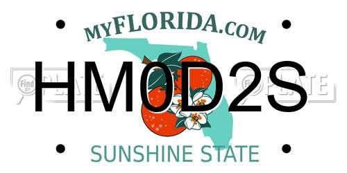 HM0D2S Florida License Plate