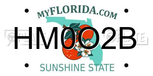 HM0O2B Florida License Plate