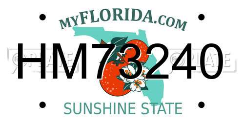 HM73240 Florida License Plate