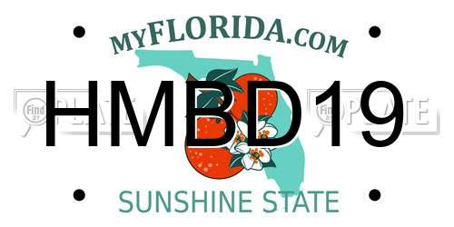 HMBD19 Florida License Plate