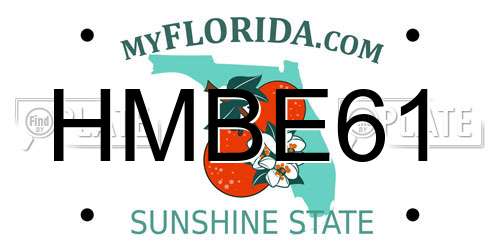 HMBE61 Florida License Plate