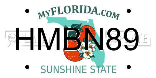 HMBN89 Florida License Plate