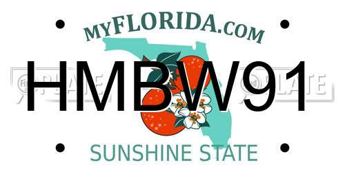 HMBW91 Florida License Plate