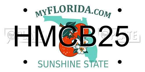 HMCB25 Florida License Plate