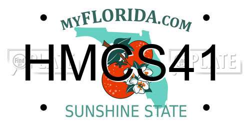 HMCS41 Florida License Plate