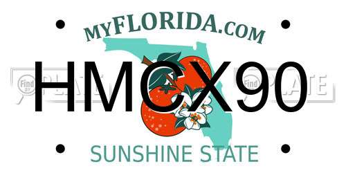 HMCX90 Florida License Plate