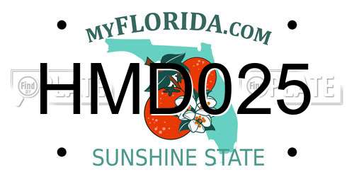 HMD025 Florida License Plate