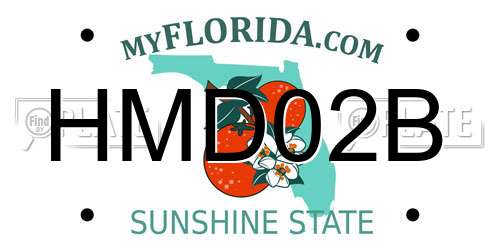 HMD02B Florida License Plate