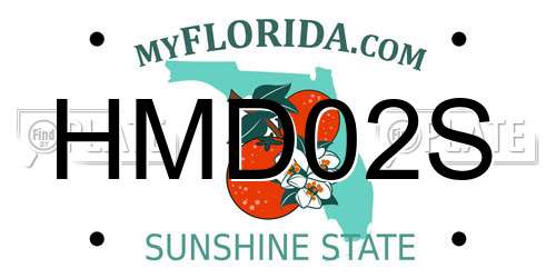 HMD02S Florida License Plate