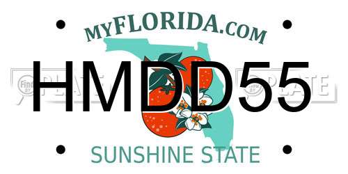 HMDD55 Florida License Plate