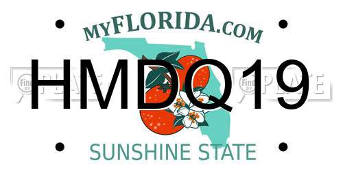 HMDQ19 Florida License Plate