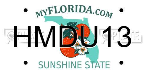 HMDU13 Florida License Plate