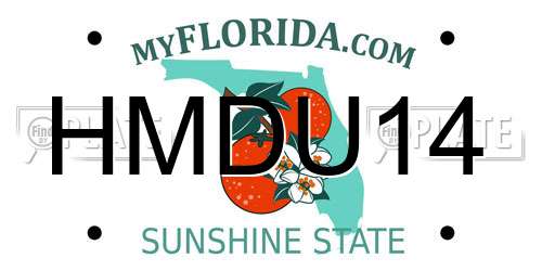 HMDU14 Florida License Plate