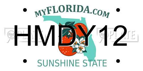 HMDY12 Florida License Plate
