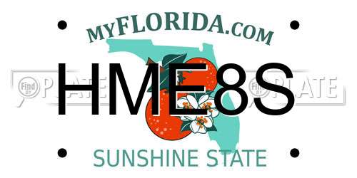 HME8S Florida License Plate