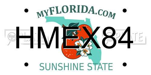 HMEX84 Florida License Plate