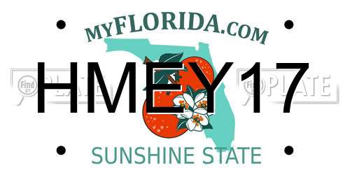 HMEY17 Florida License Plate