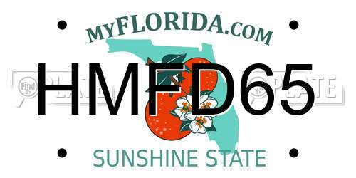 HMFD65 Florida License Plate