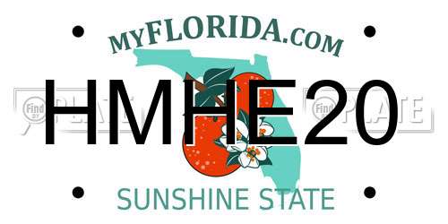 HMHE20 Florida License Plate